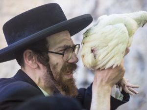 مجموعة من اليهود يقومون بفعل غريب مع الدجاج.. ربما يصلّون؟  مجموعة من اليهود يقومون بفعل غريب مع الدجاج.. ربما يصلّون؟