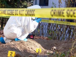 Chainsaw crime shakes Egypt