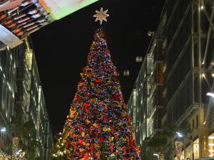 أماكن شتوية في الأردن لا بد من تجربتها في موسم الأعياد