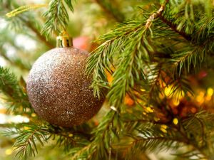 حقائق ممتعة عن شجرة الكريسماس