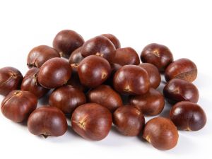 فوائد الكستناء للجهاز الهضمي