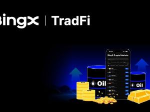 ارتفاع أسعار الذهب القياسية يدفع بنحو نصف الزيادة في تداولات BingX التقليدية لتتجاوز 3.67 مليار درهم