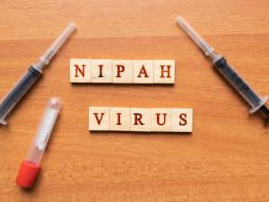 ما هو فيروس نيبا؟ الأعراض وكيفية الوقاية منه