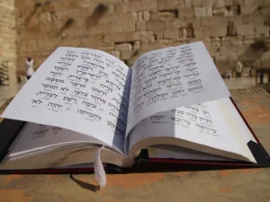 إسرائيل: “أعطاها الله لشعب مختار” 