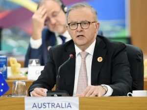 ريو دي جانيرو، البرازيل، 19 نوفمبر/تشرين الثاني 2024. أنتوني ألبانيزي، رئيس وزراء أستراليا، خلال اجتماع في الجلسة العامة لقمة مجموعة العشرين (G20).