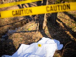 إطلاق نار بكندا (shutterstock)