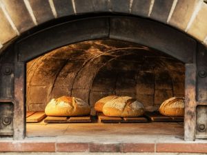 المذاق المصري يكتسح الولايات المتحدة