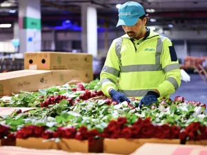 Dubai in full bloom: dnata handles 227,530 kilograms of Valentine’s Day flowers in five days