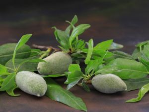 سلطة خفيفة وصحية باللوز الأخضر… مثالية لأيام الربيع