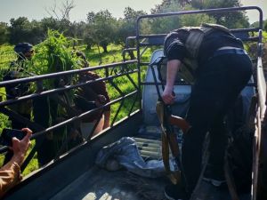 وزارة الداخلية السورية