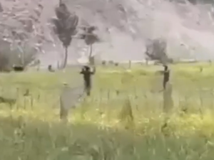 Viral video of "Captured US pilot" in Iran sparks controversy 