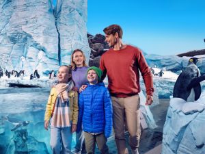 Yas Island Announces 4-Day Flash Sale with 25% Off All Yas Annual Passes