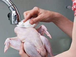 تفسير حلم الدجاج النيء في المنام لابن سيرين
