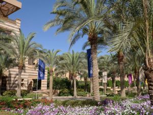  الجامعة الأمريكية بالقاهرة تطلق برنامج "مساري" (MyPath) لإتاحة مسار تعليمي شامل للطلاب ذوي الاختلافات النمائية العصبية 