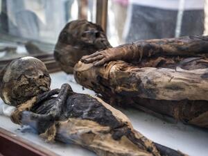 Mummies on display outside a newly-discovered tomb dating to the Ptolemaic era (323-30 BC) at the Diabat necropolis near the city of Akhmim in Egypt's southern Sohag province, about 500 kilometres south of the capital Cairo. 
Khaled DESOUKI / AFP