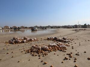 A picture taken on Jan. 29, 2018 shows potatoes strewn on the ground in the vegetable market of the town of Saraqeb in Syria's northwestern province of Idlib, following airstrikes by regime forces (OMAR HAJ KADOUR / AFP)