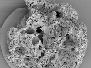 Charred Bread Baked about 14,500 Years Ago in Discovered in Jordan (Twitter)