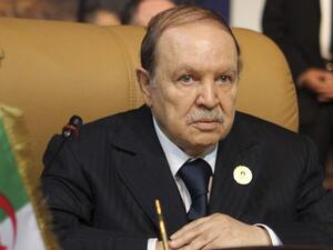 أكبر حزب إسلامي بالجزائر يوافق على مبادرة المرشح التوافقي للمعارضة
