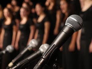 لم يحدد المسؤول السعودي ماهية او آلية تلك المشاريع 