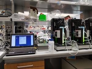 Algae cultivators in our lab