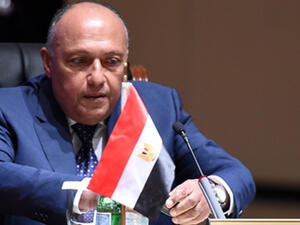 Egyptian Foreign Minister Sameh Shoukry (AFP/File Photo)	