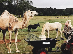 'Just a girl with her pet camel,' the young model captioned the image, which showed her staring lovingly at the animal. (Imogen_Anthony / Instagram)