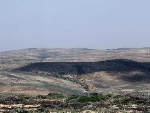 Since the outbreak of the Syrian war in 2011, many border crossings between Lebanon and Syria have been closed (AFP/File Photo)