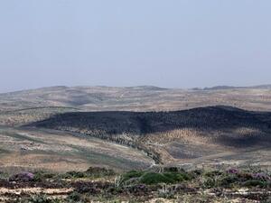 The woman had been attempting to cross into Lebanon irregularly when she died (AFP/File)