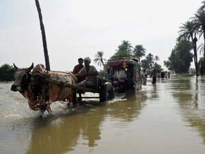 Estimated 715,000 people in Pakistan are every year affected by the floods. (AFP/File)