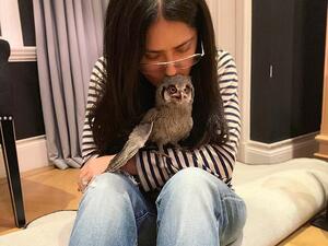 Salma Hayek and her new pet owl. (Salma Hayek/ Instagram)