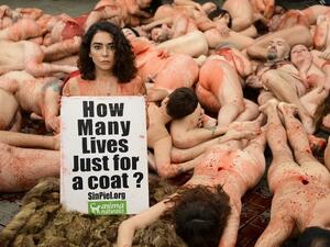 A demonstrator holds a sign as animal rights activists covered in red paint symbolising blood lie naked during a protest against the fur industry in Barcelona on December 16, 2018. 
LLUIS GENE / AFP