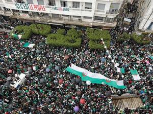 Algerian students wave a national flag (Twitter)