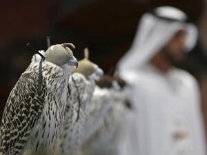 Saudi Hunting Exhibition (Twitter)