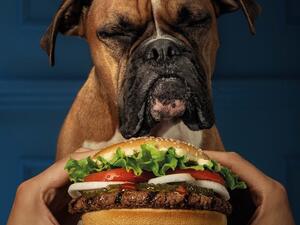 Burger King has created the 'Dogpper' (Twitter)