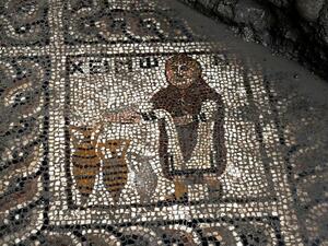 Ancient mosaics were discovered by construction workers in southern Osmaniye province (Twitter)