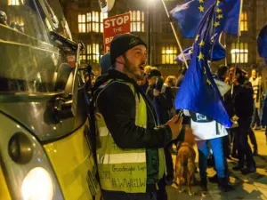 Yellow Vest protestor (Twitter)