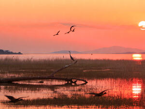 Panorama of a sunset over Lake Kariba, Zimbabwe (Shutterstock)