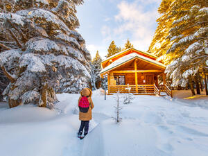 Beautiful winter landscape with snow covered trees (Shutterstock)