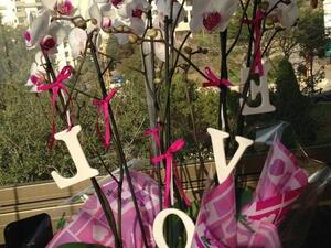 Cyrine Abdel Nour's Valentine's gift.