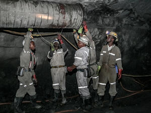 (Shutterstock/ File Photo)