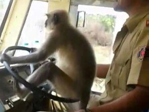 (Twitter/ Screenshot)