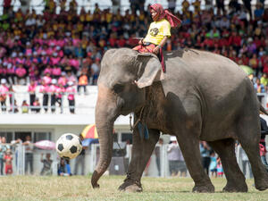 (Shutterstock/ File Photo)