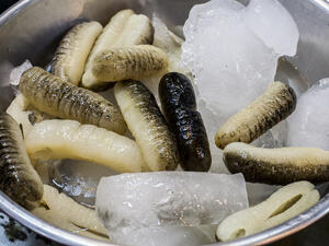 (Shutterstock/ File Photo)