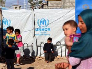 There is 5.9 million Palestinian refugees around the world (Twitter)