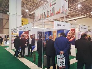 Dubai Exports stand at BakuBuild 2017.