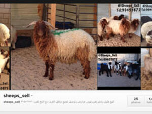 @sheeps_sell found the best way to share their wares is through twitter.