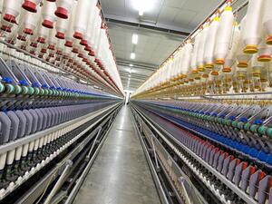 Egypt's cotton output has been declining for the past decade after farmers failed to adapt to shifting consumer demand for mass-produced items made from short- or medium-staple fiber, according to USDA. (Welspun India)