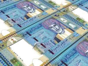 Fitch said that the government is planning to meet two-thirds of its financing need through external debt issuance, and the remainder through reserve draw-downs. (File photo)