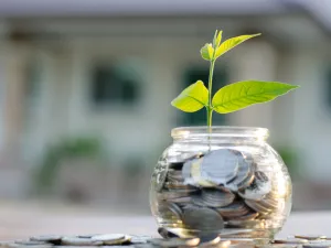 Once businesses improve accountability and governance, they will be even more attractive to international investors. (Shutterstock)