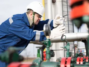 The plant, which began operating around 10 months ago, contributes 20 per cent of the total power supply in the Kingdom. (Shutterstock)